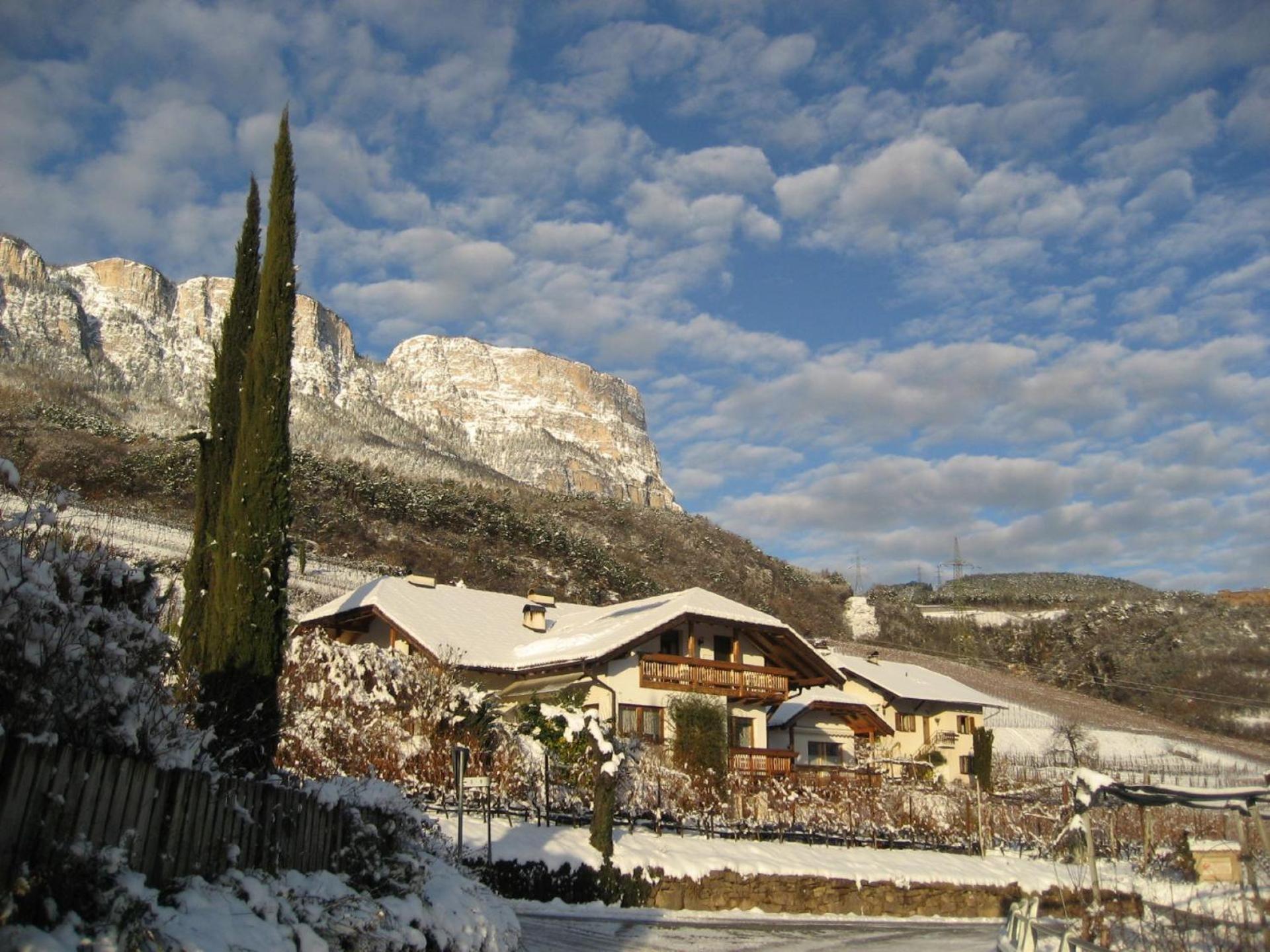 Gfillhof Ferienwohnung 3 Appiano Sulla Strada Del Vino Exterior photo